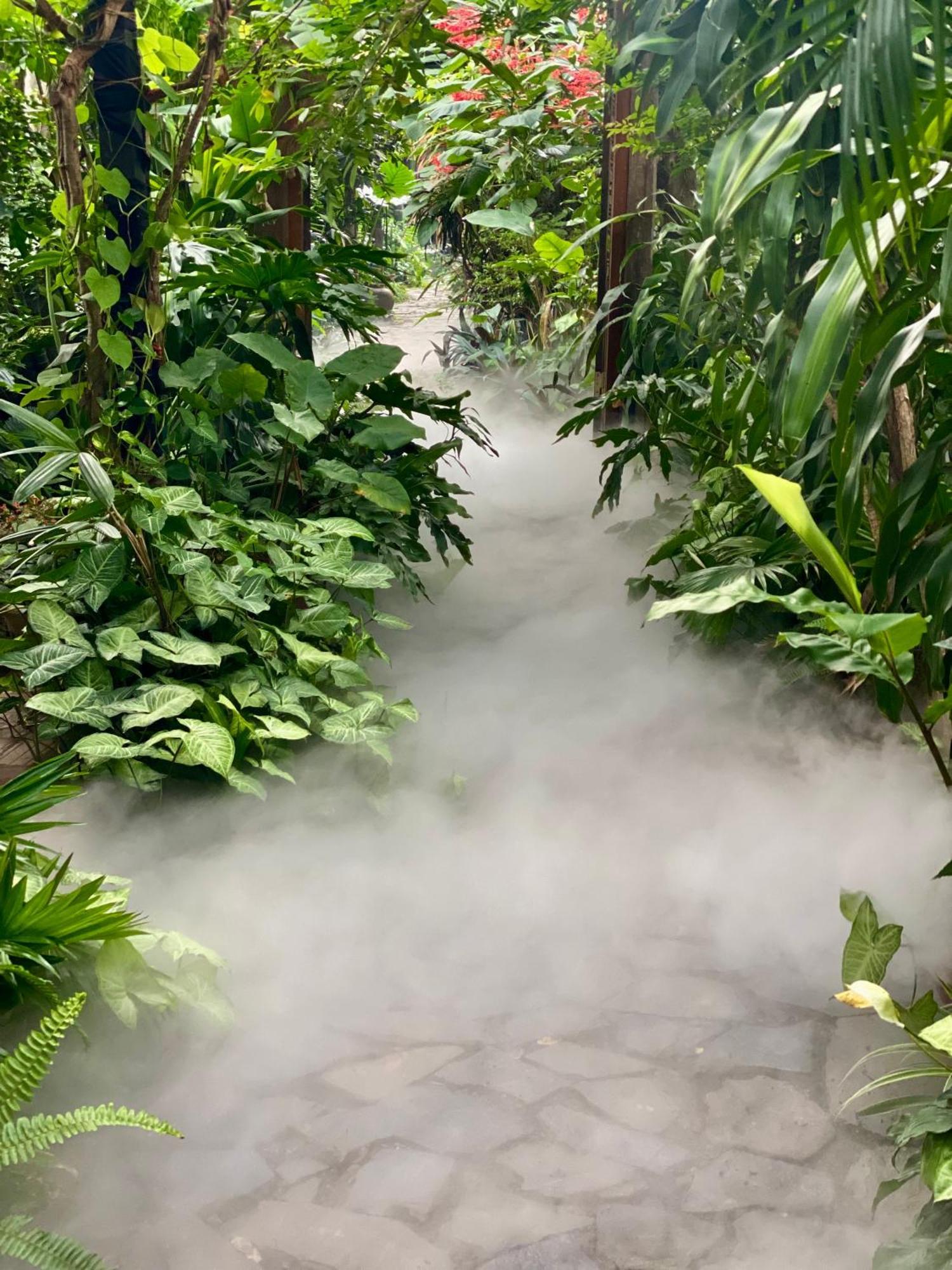 Nha Lua Homestay Ninh Binh Exterior foto